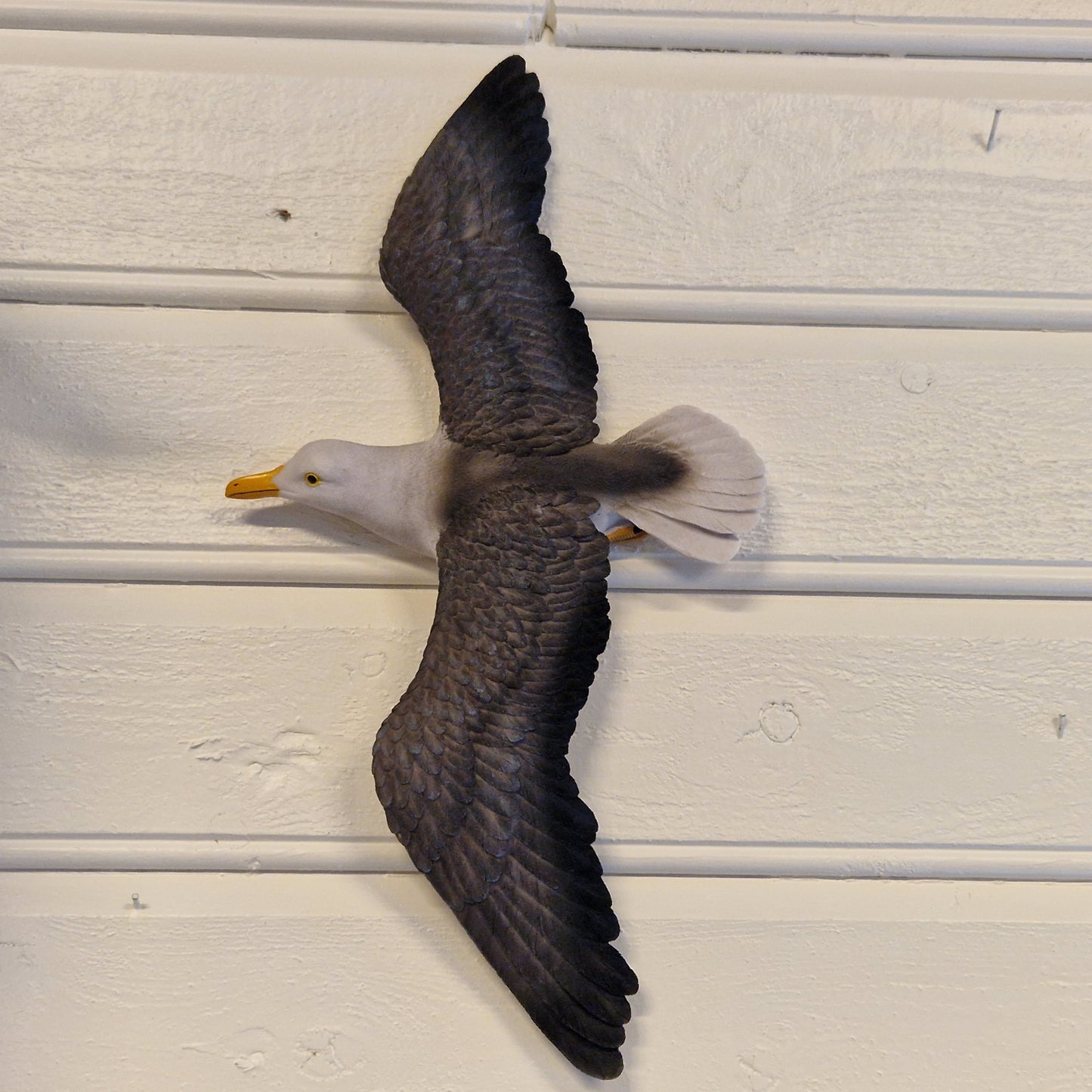 Måke til vegg, blå